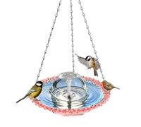 Abbeveratoio da giardino con pompa elettrica, antiruggine e trasparente | Abbeveratoio per uccelli con pompa per fontana, per terrazza, balcone, prato, sentieri da giardino, cortile