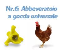 Abbeveratoio galline polli avicoli a goccia per serbatoio universale