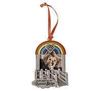Abbey & CA Gift - Ornamento commemorativo per foto di animali domestici, con ponte arcobaleno, ornamento natalizio per cani o gatti