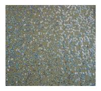 Abbigliamento Da Ballo In Paillettes Di Lusso - NUDE ARGENTO