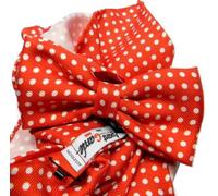 Abbinata cravatta a farfalla rossa uomo e pochette abbinata a pois bianchi