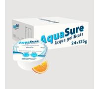 Abbott Nutrition AquaSure 24 Confezioni x125 g Acqua Gelificata per il