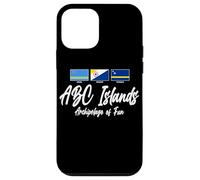 ABC Islands Arcipelago del divertimento Aruba Bonaire e Curaçao Custodia per iPhone 12 mini