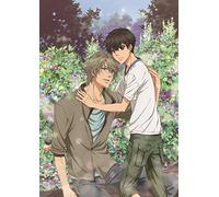Abe Miyuki - Super Lovers 2 2 (2 Dvd) [Edizione: Giappone]