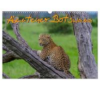 Abenteuer Botswana Afrika - Adventure Botswana (Wandkalender 2026 DIN A3 quer), CALVENDO Monatskalender: Wildlife Kalender
