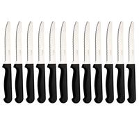 Abert Rost, set 12 coltelli, carne lama in acciaio, tagliente manico in poliprop