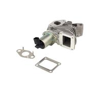 Abgas Rückführungs Valvola EGR Abgas Valvola Adatto A per Renault