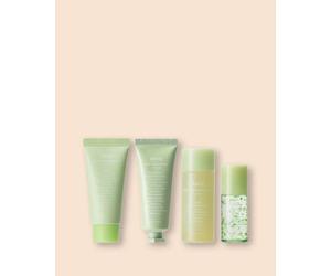 Abib Set viso lenitivo con estratto di Houttuynia cordata Heartleaf Calming Trial Kit - 30 ml, 30 ml, 15 ml, 20 ml