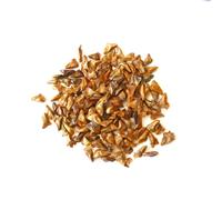 Abies alba SEEDS - - SEMI Abete bianco | Abete argentato