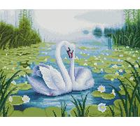 Abillyn - Kit per ricamo a punto croce, motivo: lago, lago di loto stampato con motivo stampato (cigno)