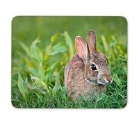 ABin Cute Looking Cottontail Bunny Rabbit Eating Grass in The Garden Mouse pad Mouse Pad The Office Mat Mouse Pad Gaming Mousepad Nonslip Rubber Backing