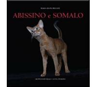 Abissino e somalo. Ediz. illustrata - Bregani M. Grazia