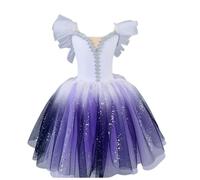 Abito da Ballo per Bambina, tutù Abbigliamento da Danza Vestiti da palcoscenico per Bambini Abito Lungo in Tulle Costumi da Ballerina per Lo Spettacolo del Lago dei Cigni,B,130