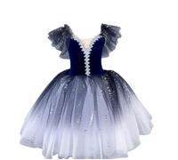 Abito da Ballo per Bambina, tutù Abbigliamento da Danza Vestiti da palcoscenico per Bambini Abito Lungo in Tulle Costumi da Ballerina per Lo Spettacolo del Lago dei Cigni,C,140