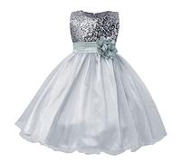 Abito Principessa Bambino Abiti Bambino Ragazza Carnevale Elegante Abito Da Festa Comunionrobe Pizzo Pieghettato Abito Da Sera in Tulle Fluido Abbigliamento per Matrimonio Fotografia