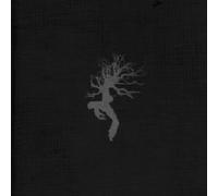 Abiungo Vieo & Pete Monro - Thunder May Have Ruined The Moment