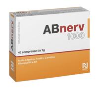 ABNERV 1000 45CPR