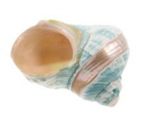 ABOOFAN Conchiglia Naturale Mediterranea per Acquario Decorazione Artigianale Luminosa Esemplare da Collezione per Centrotavola Marino Costiero e Unico
