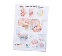 ABOOFAN Poster Anatomia Cornice Scientifica Chiara e Didattica per Scuole Laboratori
