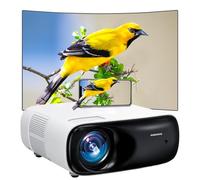 ABoolon P6 1000 ASIN Proiettore di film all'aperto 4K con Wifi 6 e Bluetooth, ABoolon P6 1000 ASIN Proiettore di film all'aperto ultimo intervento con display da 500 pollici, correzione pietra chiave