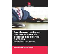 Abordagens modernas dos mecanismos de proteção dos direitos humanos: Um guia jurídico e prático abrangente