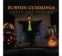 above the ground - orange-Import USA