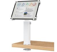 AboveTEK Supporto da scrivania per iPad, supporto per tablet antifurto regolabile con rotazione a 360° e inclinazione a 180°, adatto a tablet da 9,7" a 13", perfetto per il lavoro-Argento