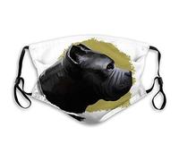 Abrahams, Chris - Fluid To The Influence (2 LP)