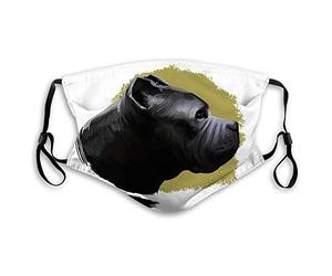 Abrahams, Chris - Fluid To The Influence (2 LP)