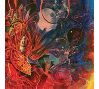 Abrahma Reflections in the Bowels of a Bird (CD) Album