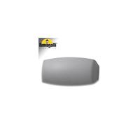 Fumagalli Applique da parete ABRAM 270 Grigio Trasparente LED R7S 105W CCT Set da esterno