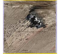 Abrams Joshua & Taylor Chad - Mind Maintenance