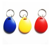 ABS 125 kHz T5577 EM4305 Portachiavi RFID riscrivibili | Multicolor 100 pz: Controllo Accessi,Hotel,Personale,Scuola,Parcheggio,Pagamenti,Transiti,Comunale(Gray)