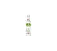 Absente Xenta Lime
