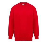 Absolute Apparel - Magnum - Felpa tinta unita - Uomo (AB111)