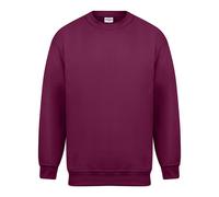 Absolute Apparel - Magnum - Felpa tinta unita - Uomo (AB111)