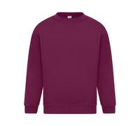 Absolute Apparel - Sterling - Felpa tinta unita - Uomo (AB113)