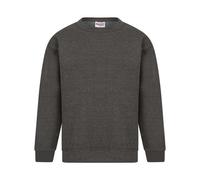 Absolute Apparel - Sterling - Felpa tinta unita - Uomo (AB113)