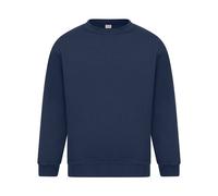 Absolute Apparel - Sterling - Felpa tinta unita - Uomo (AB113)
