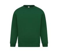 Absolute Apparel - Sterling - Felpa tinta unita - Uomo (AB113)