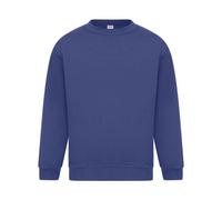 Absolute Apparel - Sterling - Felpa tinta unita - Uomo (AB113)