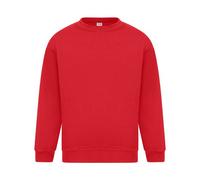 Absolute Apparel - Sterling - Felpa tinta unita - Uomo (AB113)