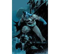 Absolute Batman: Hush (New Edition)