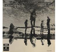 Abstract Truth - Silver Trees