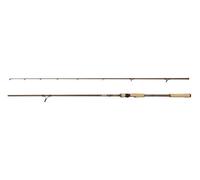 Abu Garcia BEAST PRO SPINNING ROD 2-section Canne da Spinning Luccio
