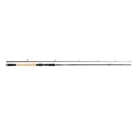 Abu Garcia Tormentor Spin 302 3,02m 10-40g Canna Girevole