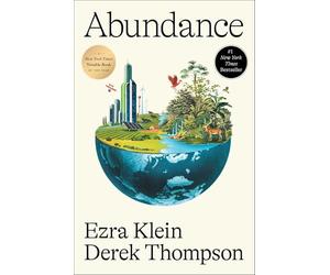 Abundance: What Progress Takes