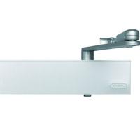 Abus 106460 8103 - Ferma-porta con allarme integrato, colore: Argento
