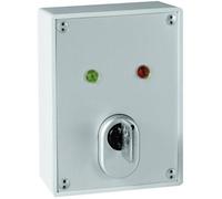ABUS SE1010 Schlüsselschalter mit Zylinder Pannello di comando