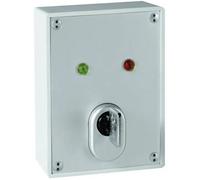 ABUS SE1010 Schlüsselschalter mit Zylinder Pannello di comando